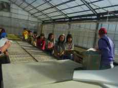 RIMG0151 RIMG0151