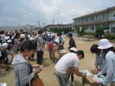 IMG_8219 IMG_8219