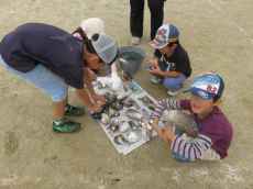 IMG_3766 IMG_3766