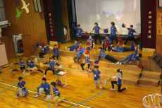 IMG_1584 IMG_1584