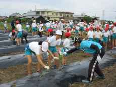 IMG_4541 IMG_4541