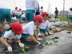 IMG_4553 IMG_4553