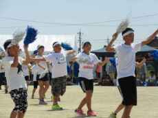 IMG_5045 IMG_5045