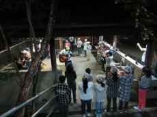 IMG_5542 IMG_5542