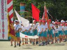 IMG_4042 IMG_4042