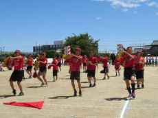 IMG_4355 IMG_4355