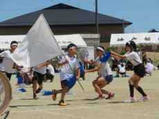 IMG_4389 IMG_4389