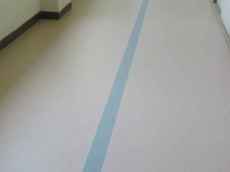 IMG_7265 IMG_7265