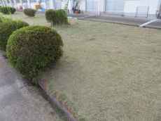 IMG_7288 IMG_7288
