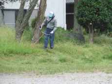 IMG_7310 IMG_7310