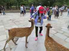 IMG_4395 IMG_4395