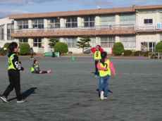 IMG_9037 IMG_9037