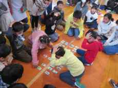 IMG_7038 IMG_7038