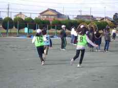 RIMG7031 RIMG7031