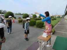 IMG_0674 IMG_0674