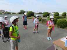 IMG_0676 IMG_0676