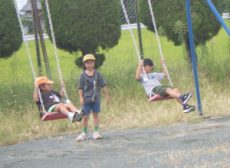 RIMG8868