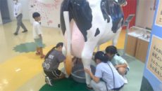 2026年09月30日10時26分09秒